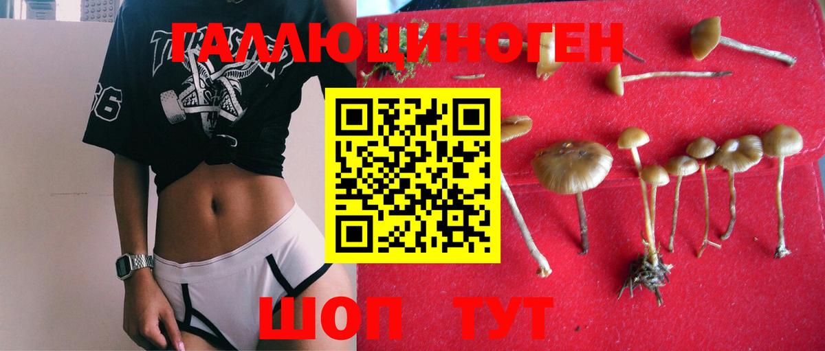 Псилоцибиновые грибы MAGIC MUSHROOMS Сатка