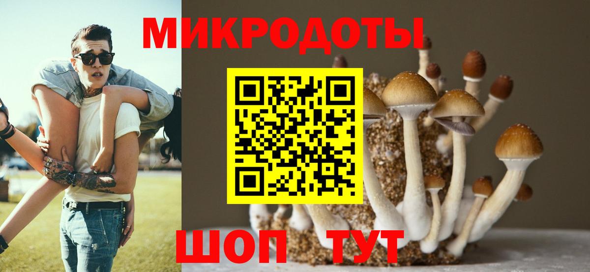 Галлюциногенные грибы Cubensis  Вход с VPN  как найти   Сатка  Псилоцибиновые грибы прущие грибы 